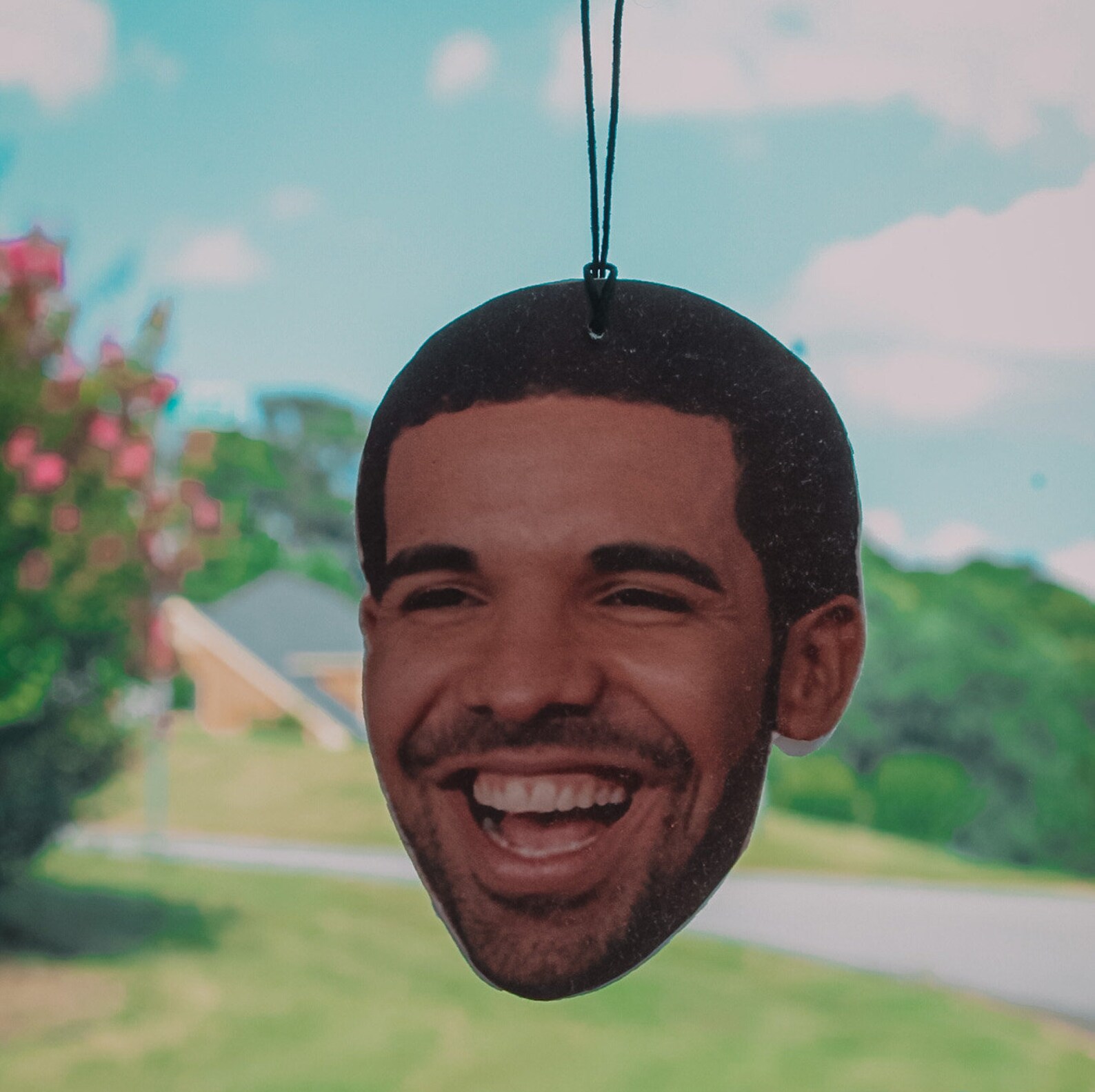 Drake Custom Double Sided Air Freshener - Etsy