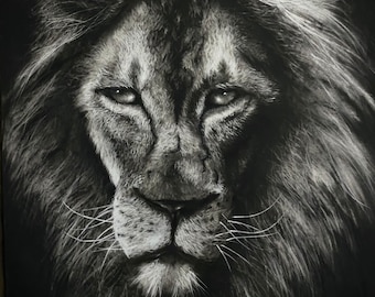Original Charcoal Drawing 18 x 24 ‘King of the Jungle’