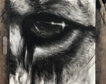 Lions eye, Charcoal Drawing 18 x 24