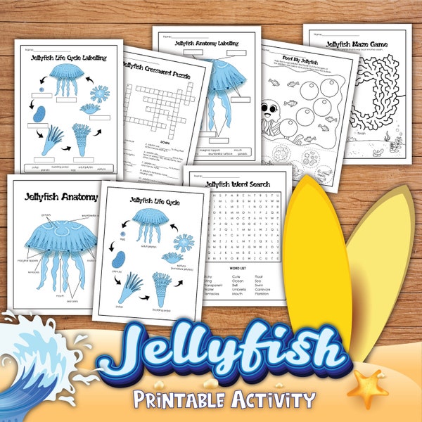 Jellyfish activities for kids, Jellyfish anatomy and life cycle poster printable, ocean theme, jellyfish unit study