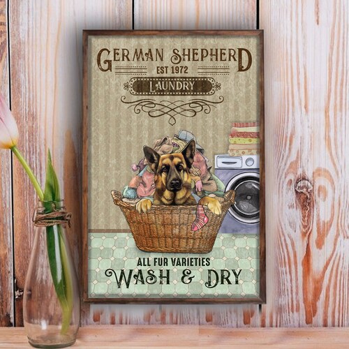 How To Wash A German Shepherd Puppy