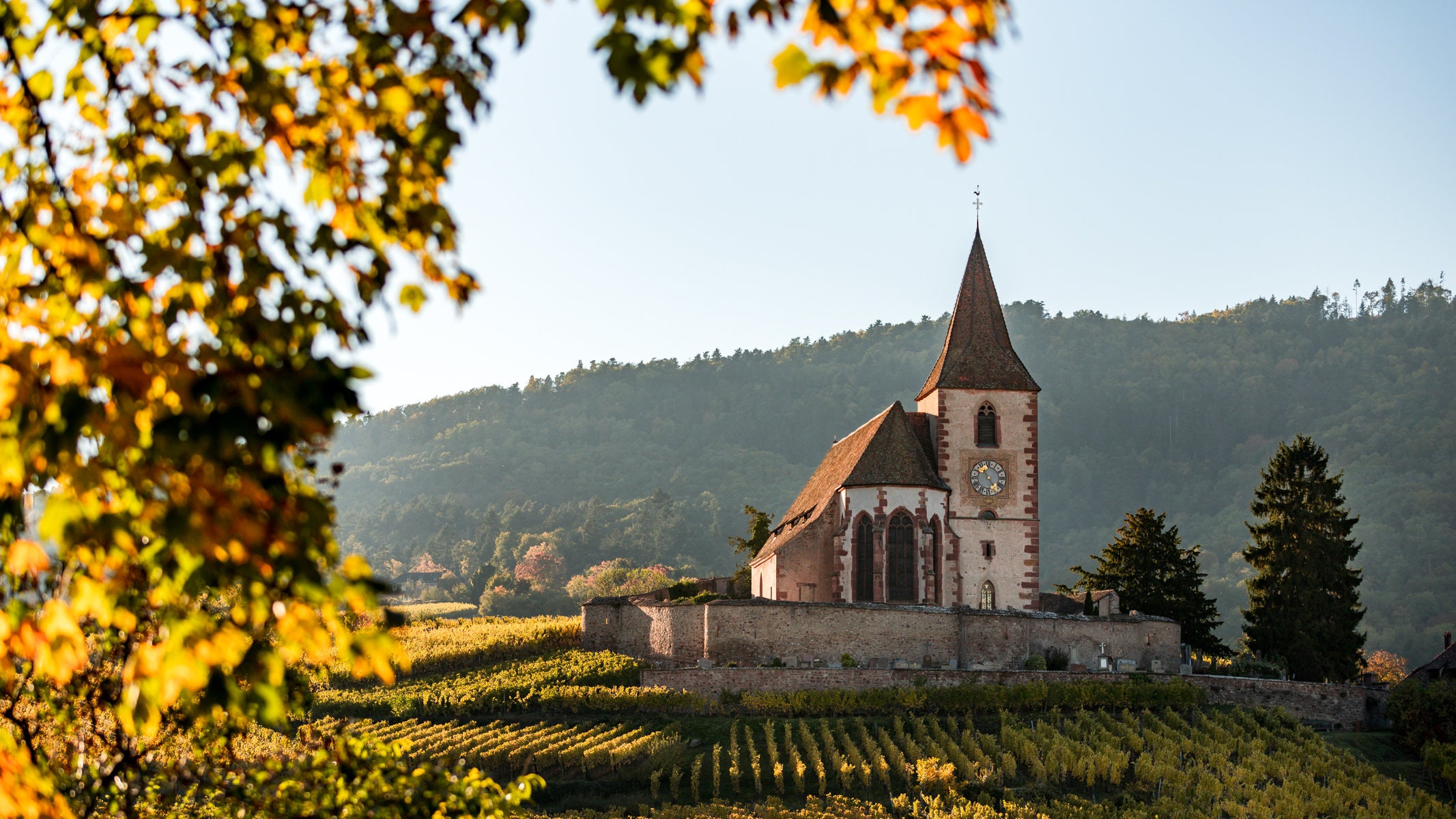 Photo de Paysage Alsacien sur La Route Des Vins Au Beau Milieu Vignes en Automne, Décoration Murale,