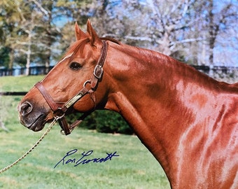 サンデーサイレンス 1989 ケンタッキーダービー写真 パット