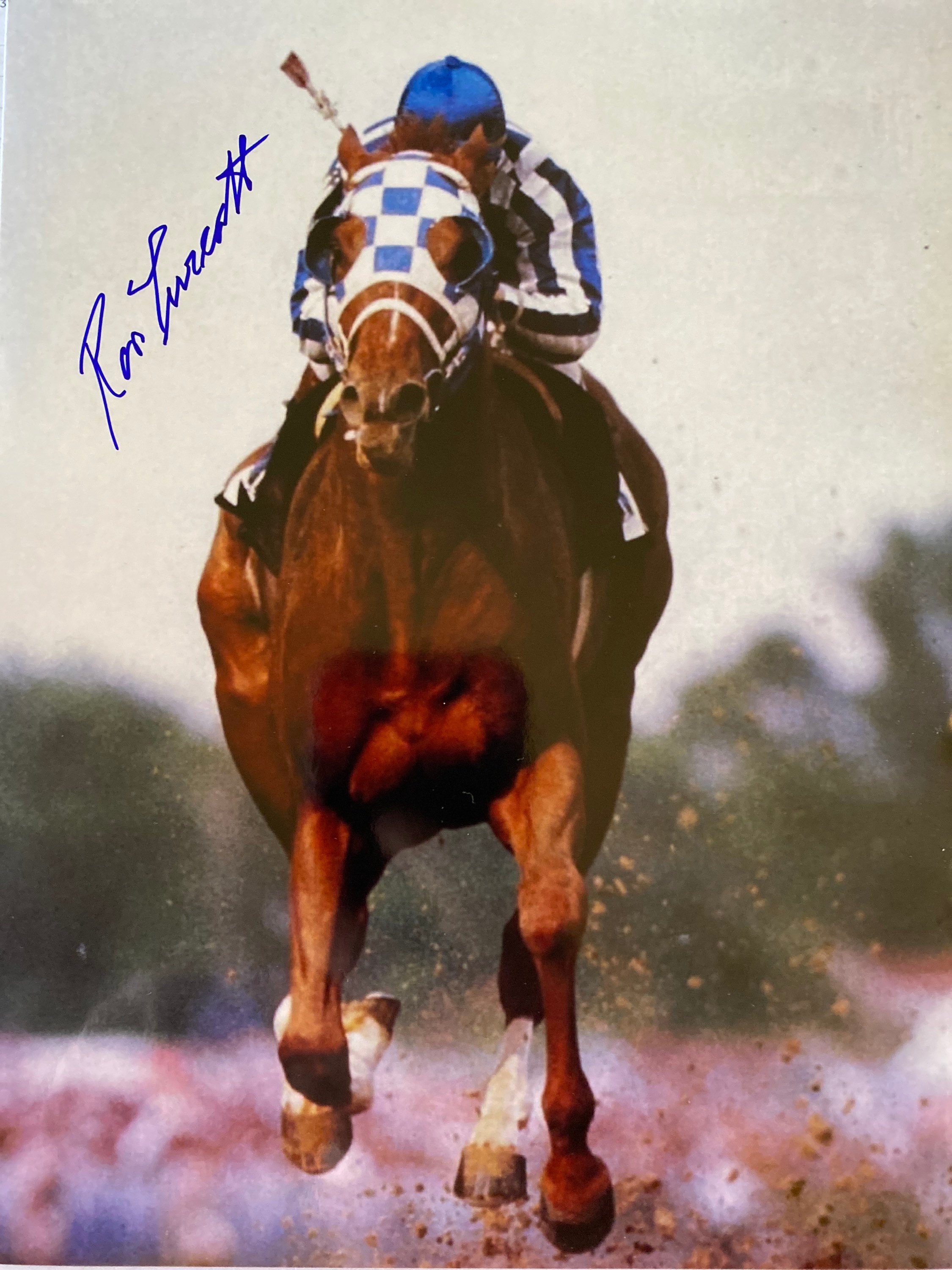 Secretariat photograph Ron Turcotte BELMONT STAKES 1973 8x10 color glossy