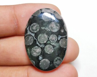 Black Fossil Cabochon Mix Shapes /& Sizes coral Cabochons Natural Black Fossil coral Gemstone High Grade Black Fossil coral Loose stone