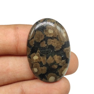 Op de afbeelding: Ovaalvormige cabochon edelsteen met een bruin, zwart en wit patroon. De steen heeft een gepolijste oppervlak en is een natuurlijk materiaal.