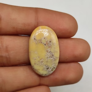 Natural yellow lemon chrysoprase cabochon rare lemon chrysoprase healing mineral stone highly smooth polished gemstone for jewelry M7067