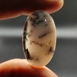 Può includere: Un cabochon ovale bianco e grigio con inclusioni dendritiche nere. Il cabochon è liscio e lucido.