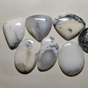 Mix Shapes Dendrite Opal Cabochon Black & White Colour Dendrite Opal Handmade Polished 6pcs Wholesale lot Loose Gemstone for pendant M2491