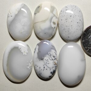 oval Shapes Dendrite Opal Cabochon Black & White Colour Dendrite Opal Handmade Polished 6pcs Wholesale lot Loose Gemstone for pendant M2488