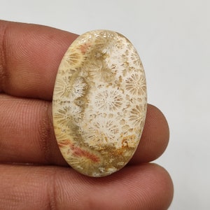 25ct Natural brown fossil coral flatback cabochon 34X22X3 MM oval shape Indonesian coral stone fossil coral loose gemstone for jewelry M6610