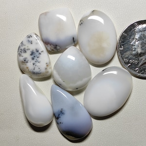 Mix Shapes Dendrite Opal Cabochon Black & White Colour Dendrite Opal Handmade Polished 7pcs Wholesale lot Loose Gemstone for pendant M2487