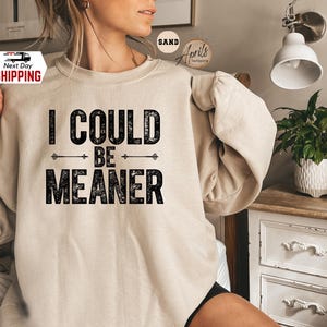 Sarcastic Humor Sweatshirt: "I Could Be Meaner" Funny Quote Hoodie image 1