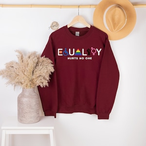 Equality Hurts No One Sweatshirt, Equal Rights Hoodie, LGBTQ Sweatshirt, Rainbow Hoodie, Human Rights Shirt, BLM Shirt, Social Justice Shirt image 3