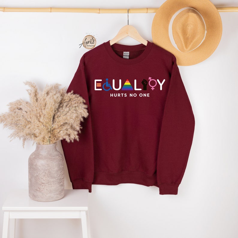 Equality Hurts No One Sweatshirt, Equal Rights Hoodie, LGBTQ Sweatshirt, Rainbow Hoodie, Human Rights Shirt, BLM Shirt, Social Justice Shirt image 3