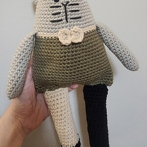 rag doll cat