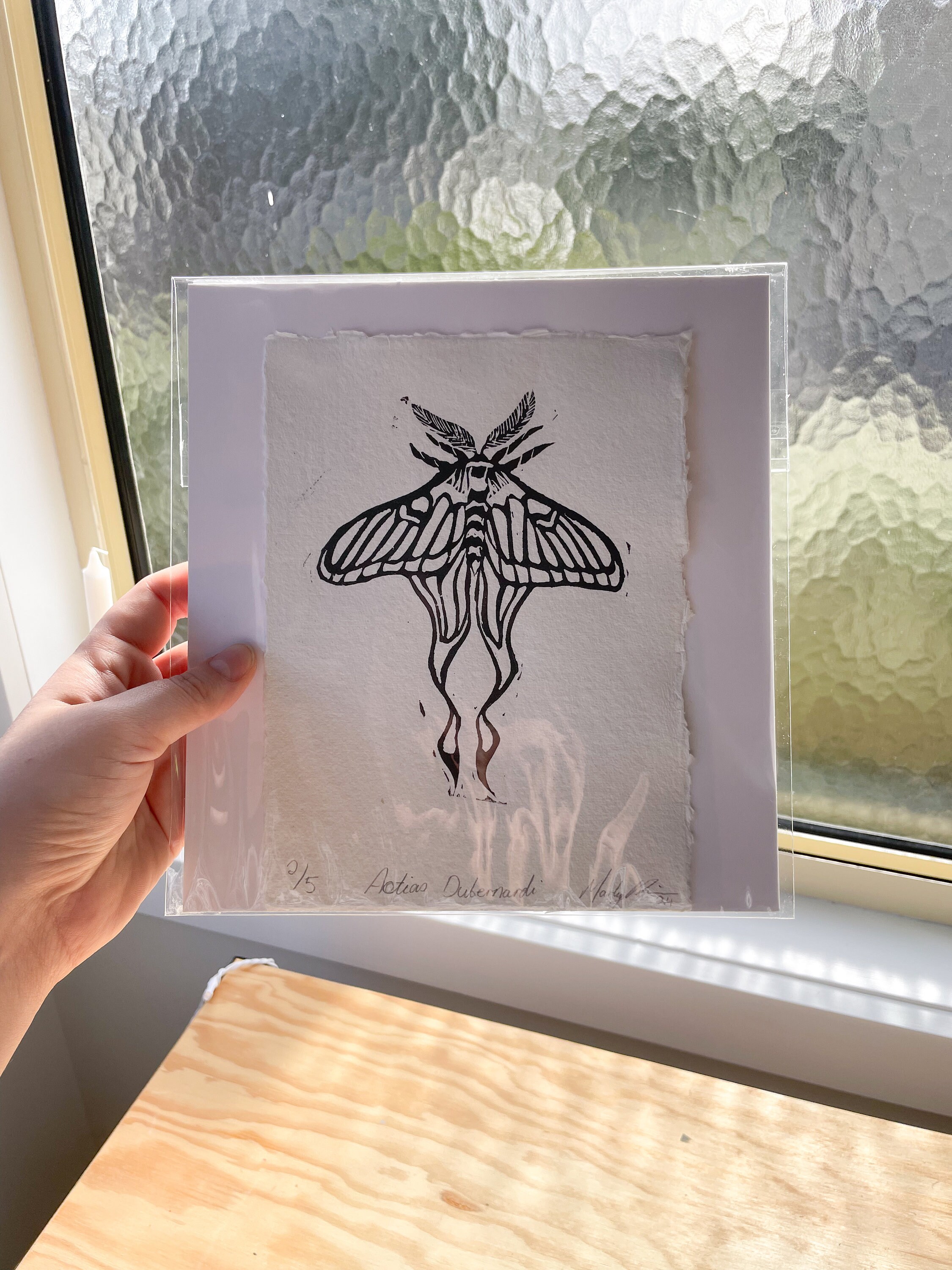 Actias dubernardi まとめて4♂セット Actias dubernardi - Etsy 日本