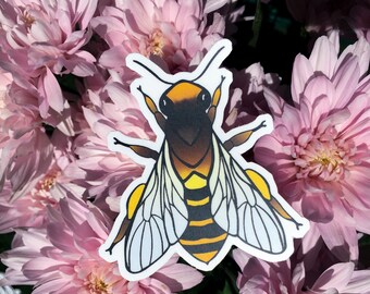 Colorful Insect Stickers | Waterproof Vinyl Bug Decals