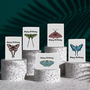 Happy Birthday Cards - Moth Illustrations | Birthday Card Set | Moth Cards