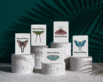 Happy Birthday Cards - Moth Illustrations | Birthday Card Set | Moth Cards