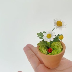 May include: A miniature crochet daisy plant in a small terracotta pot. The white and yellow flowers sit atop green leaves and moss, with a small red ladybird. The pot is held in a hand against a white background.