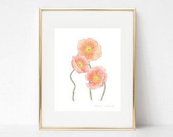 Poppy Watercolor Print, Floral Watercolor Print, Floral Wall Art, Floral Watercolor Art, Floral Fine Art, Floral Home Decor, Watercolor