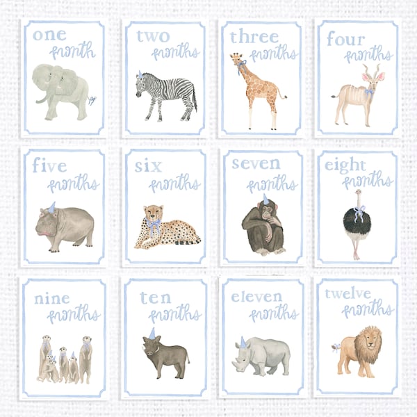 Blue Baby Milestone Cards, Milestone Picture Prop, African Animals,  Bow Party Animals Milestone Cards