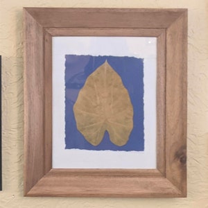Pressed Elephant Ear Leaf in Rustic Wood Frame - Real Dried Botanicals Handmade Homegrown - Taro / Colocasia - Plant-Lover, Gardener Gift