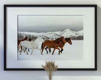 Manada de caballos de Carol M. Highsmith (impresión artística fotográfica giclée premium de alta resolución) A4 A3 A2, también disponible enmarcada