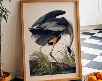 Vintage Bird Print: Great Blue Heron by John James Audubon (Birds Of America Giclée Art Print) Animal Wall Art / Home Decor available framed