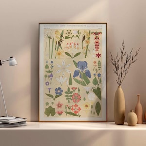Owen Jones Print: Nature No. 8 (Leaves & Flowers) from &#39;The Grammar Of Ornament’ (Giclée Art Print) Wall Art / Home Decor available Framed