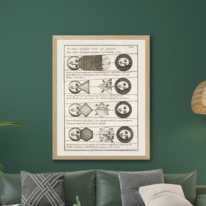 Può includere: Un'illustrazione vintage in bianco e nero di un diagramma scientifico che mostra le diverse fasi della luna. Il testo recita "La descrizione sopra dimostra che il lato visibile della Luna è sempre lo stesso".