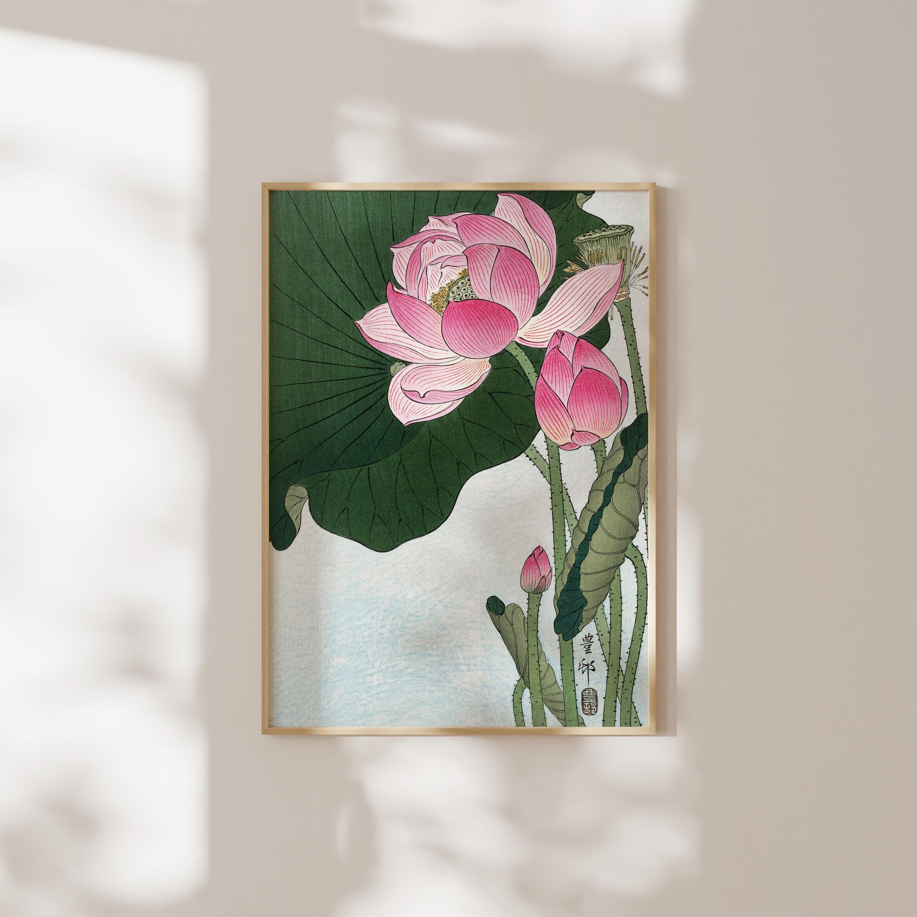 Japanese Art: Blooming Lotus Flowers by Ohara Koson (premium