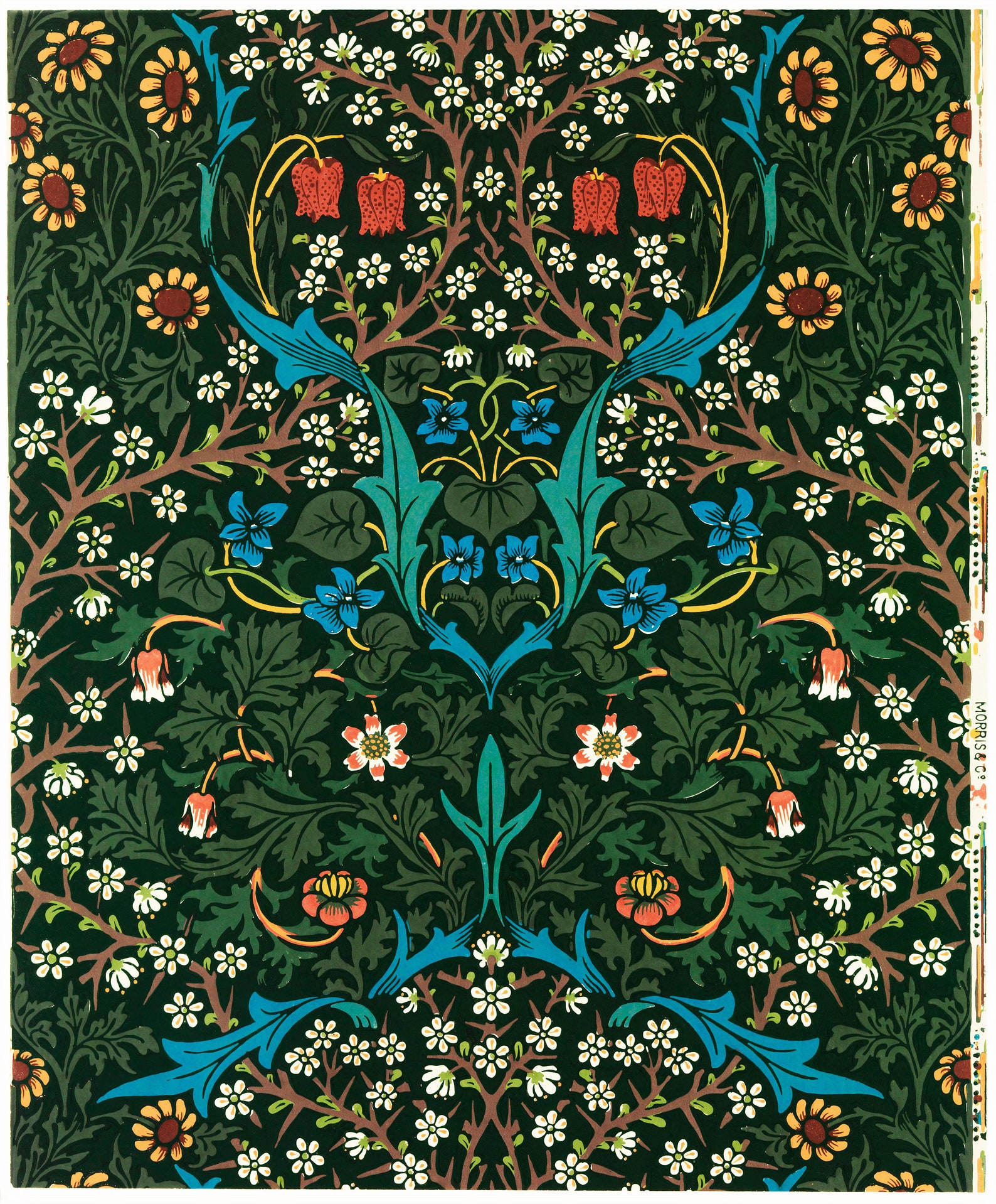 WILLIAM MORRIS Tulip fabric / Textile Art A4 A3 A2 Giclée Etsy UK