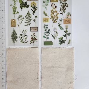 2 feuilles d'autocollants floraux à frotter avec transfert 2 lin en coton Scrapbooking Carterie journal Agenda embellissements décorations fleurs pressées