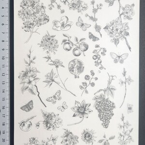 Frotter le transfert de feuilles de fleurs autocollants fleurs séchées Scrapbooking indésirable journal Fabrication de cartes embellissements décorations autocollants de transfert
