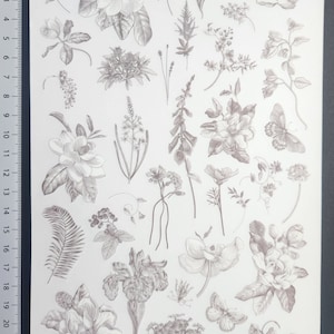 Frotter le transfert de feuilles de fleurs autocollants fleurs séchées Scrapbooking indésirable journal Fabrication de cartes embellissements décorations autocollants de transfert