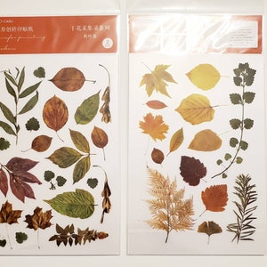 2 sheets Rub on Transfer leaves stickers Scrapbooking Cardmaking junk Journal Planner embellishments decorations pressed flowers journaling