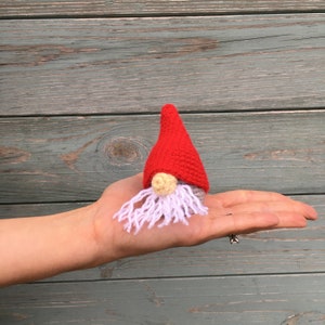 May include: A small crocheted gnome with a red hat, white beard, and a grey face. The gnome is sitting on a person's hand.