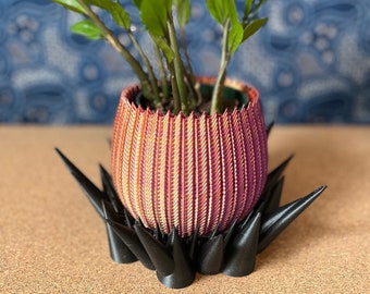 Dragón Egg | 4" Planter Pot & Tray