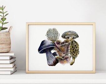 Shroomy, fungi, mushrooms, fungi art, edible mushroom art, watercolor, illustration