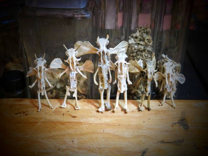 Bone Fairies Etsy