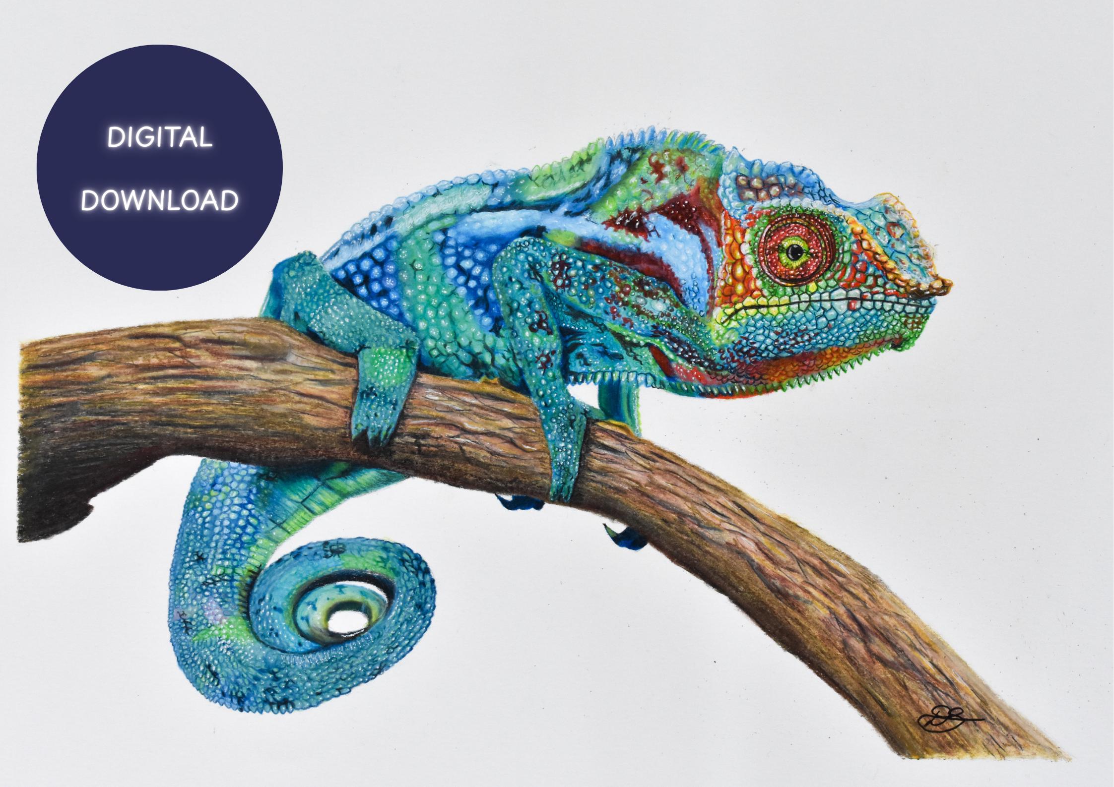 Chameleon Art Print: Hand-drawn Colored Pencil Illustration