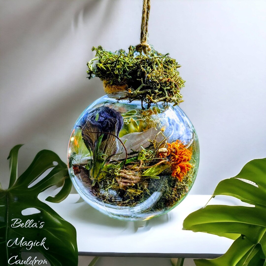 Blessed Glass Witch Ball, Housewarming Gift, Plant Inspired Ornament ...