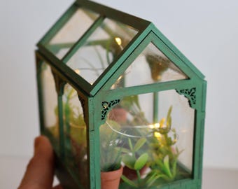Miniatur Gewächshaus Terrarium – Handgefertigtes Gewächshaus mit Pflanzen – Puppenhaus Gewächshaus – Einzigartiges Wohndekor – Geschenk für Pflanzenliebhaber
