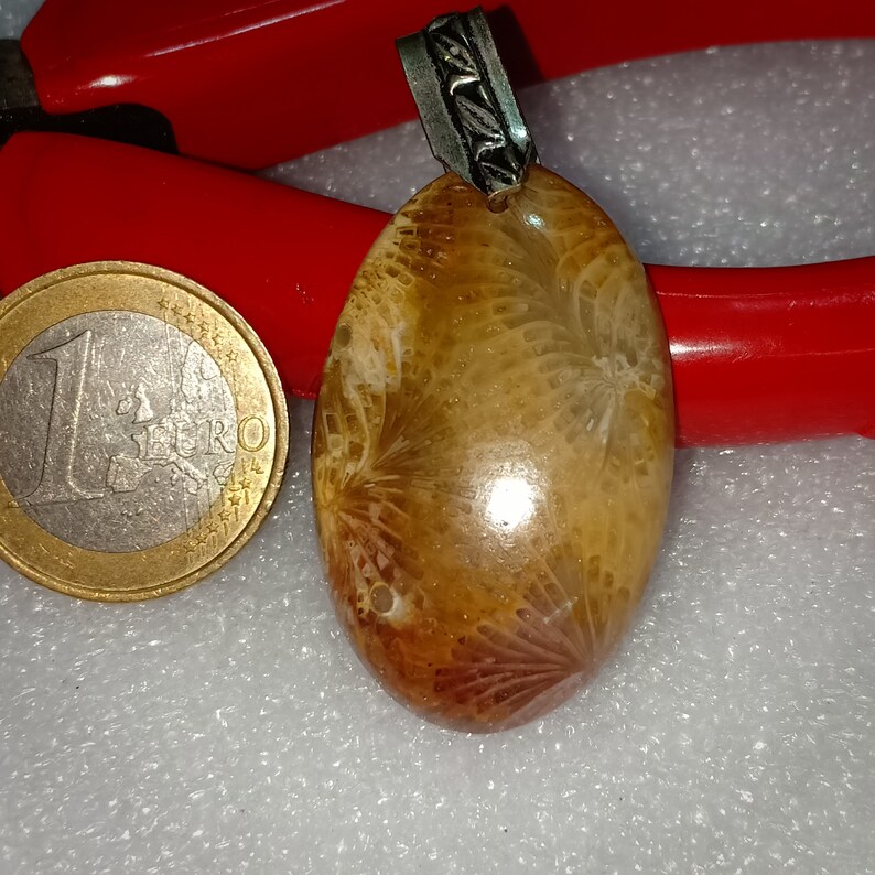 37X23mm Natural Beautiful Fossil Oval Pendant With German Silver Loop