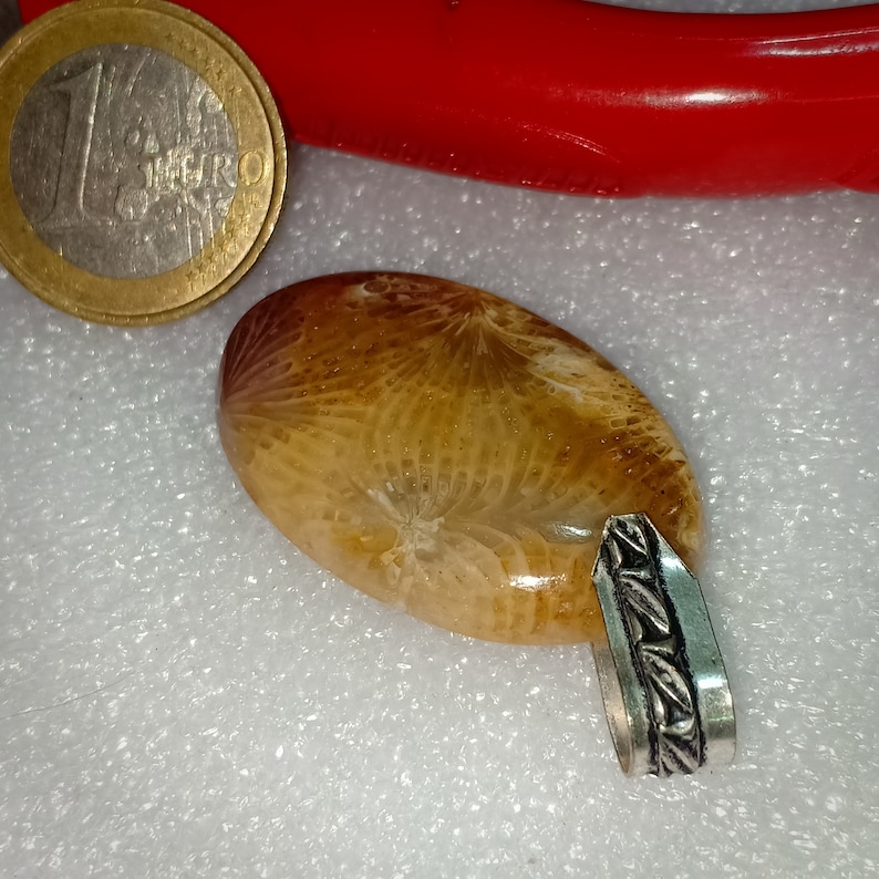 37X23mm Natural Beautiful Fossil Oval Pendant With German Silver Loop