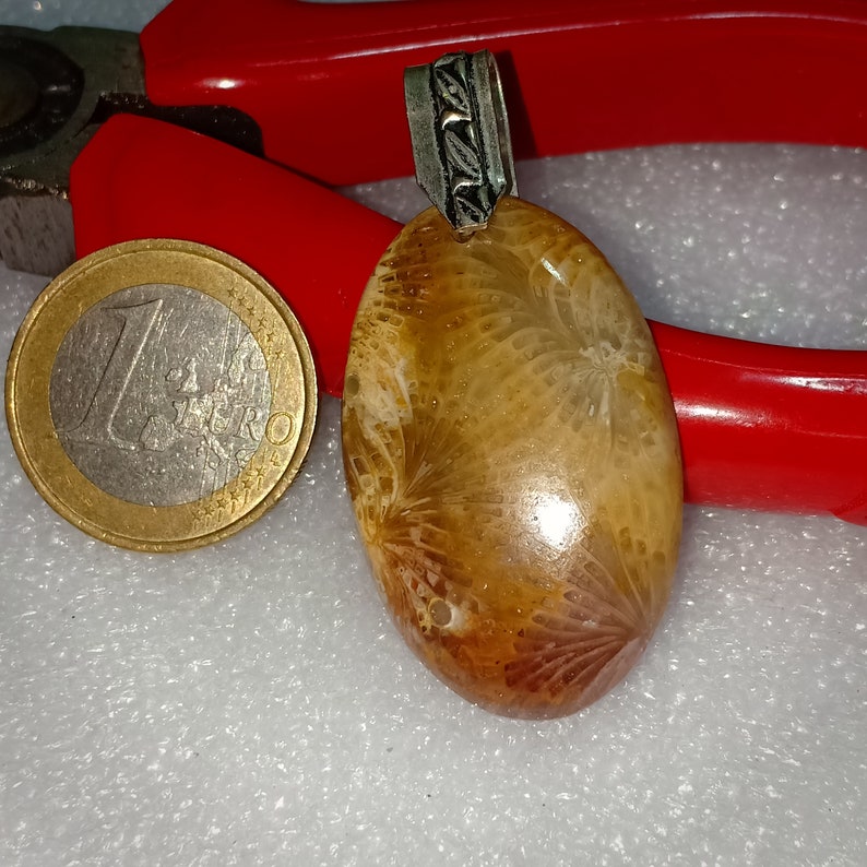 37X23mm Natural Beautiful Fossil Oval Pendant With German Silver Loop
