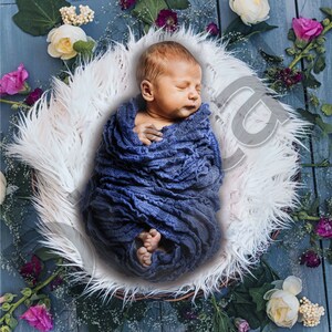 Newborn Digital Backdrop for boys or girls, 4 Backdrop jpg