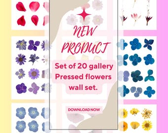 Floral botanical prints, Pressed flower art set of 20 prints, Herbarium, Floral pictures for living room, dried flower art print